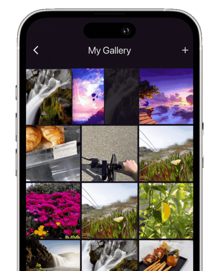 refsy on phone gallery wordpress